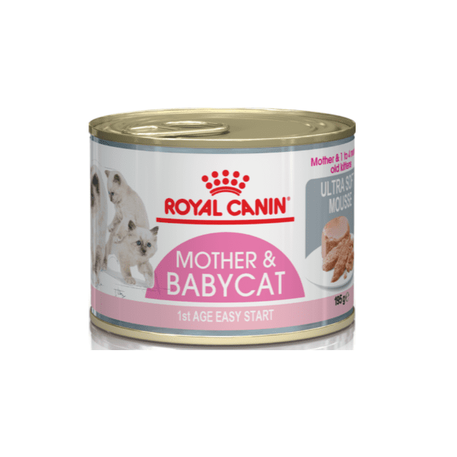 royal canin kitten wet food