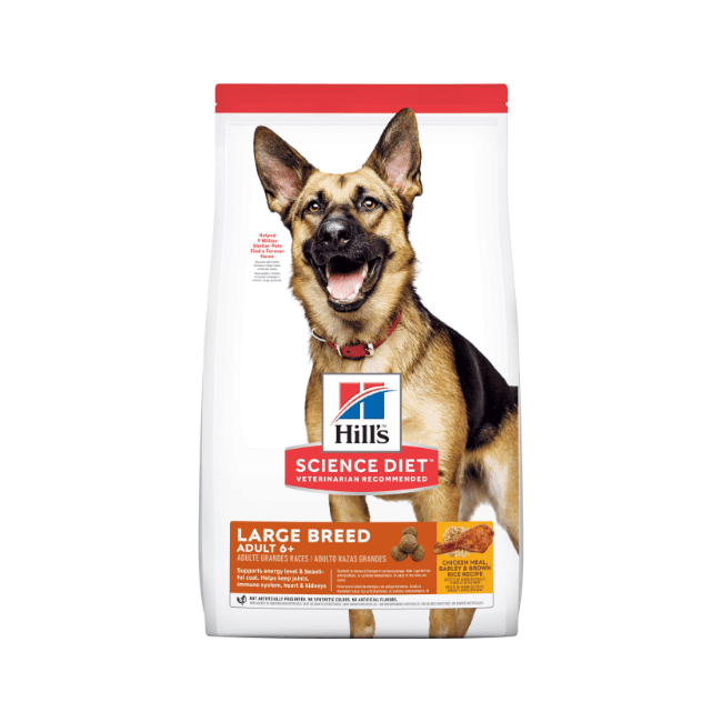 science diet large breed dog food