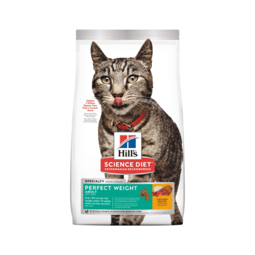 Hill's Science Diet Adult Sensitive Stomach & Skin Dry Cat Food Pet