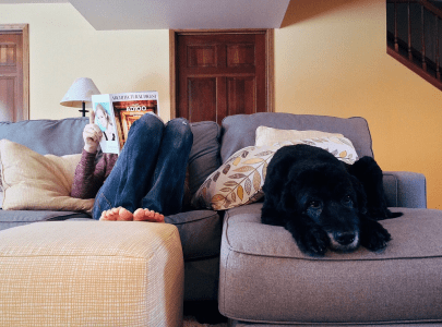 HOW TO CARE FOR PETS WHEN SELF-ISOLATING OR DURING LOCKDOWN