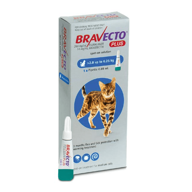 Bravecto Plus SpotOn Flea Treatment for Medium Cats 2.8 6.25kg Pet