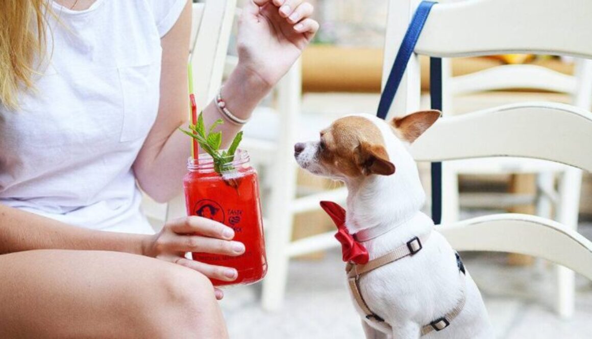 Keeping_Dogs_Cool_and_Hydrated_young_woman_and_small_dog - Photo by Tamara Bellis on Unsplash