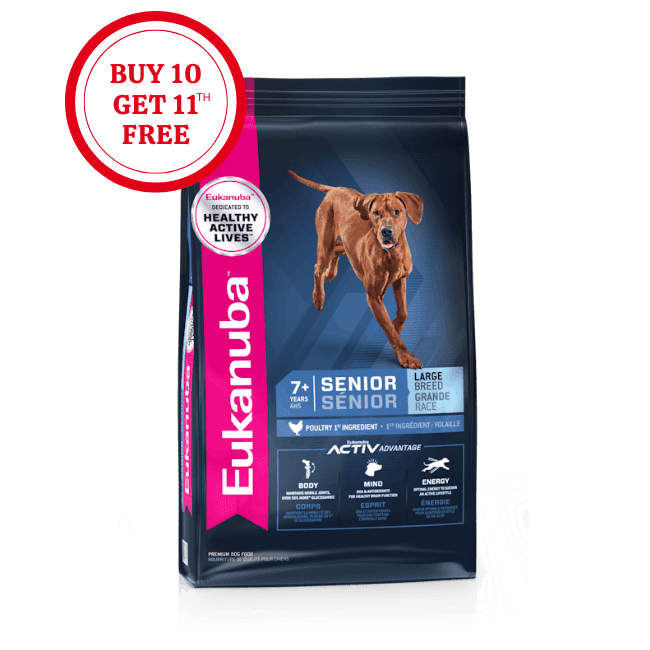 Eukanuba Senior Large Breed Dry Dog Food Pet Food Club