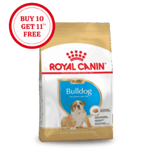 Royal Canin Bulldog Puppy Dry Food