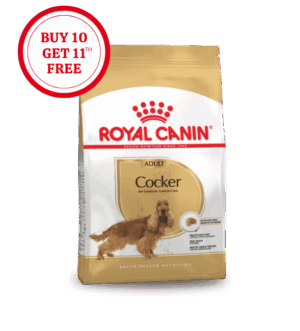 Royal Canin Cocker Spaniel Adult Dry Food