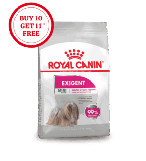 Exigent.png Royal Canin Mini Exigent Dry Food
