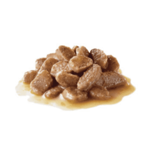 IMG879_1643664331G.png Royal Canin Hairball Care in Gravy