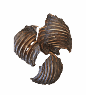 Ranger Kangaroo Rib Racks