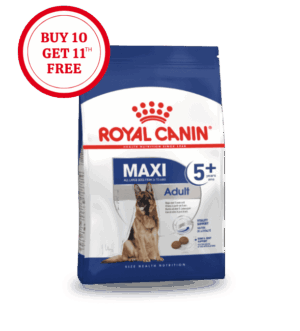 Maxi-5.png Royal Canin Senior Maxi Adult 5+ Dry Food
