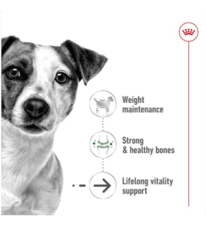 Mini-Adult-12-2.png Royal Canin Mini Ageing +12 Dry Dog Food