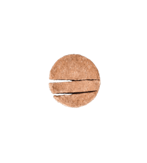 Mini-Adult-2.png Royal Canin Mini Adult Loaf Wet Food