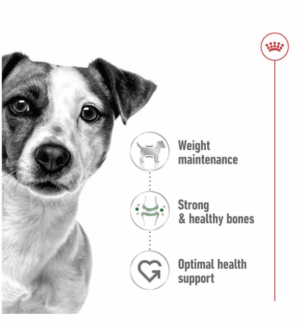 Royal Canin Mini Adult Dry Food