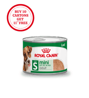 Mini-Adult-3.png Royal Canin Mini Adult Loaf Wet Food