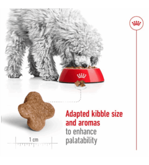 Mini-Adult-8-4.png Royal Canin Senior Mini Adult 8+ Dry Food