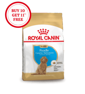 Royal Canin Poodle Puppy Dry Food