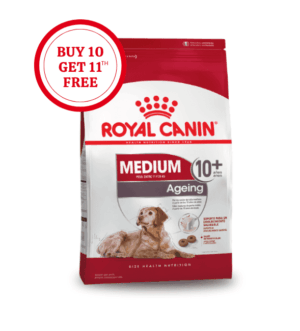 RC-DIgestive-care-mini-2.png Royal Canin Medium Ageing 10+ Dry Dog Food