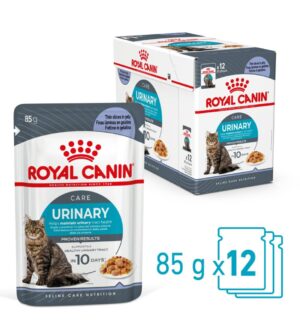ROYAL-CANIN-Urinary-Care-Jelly-7-scaled-1.jpg Royal Canin Urinary Care in Jelly