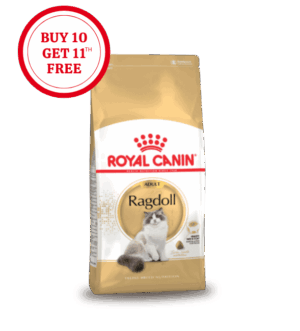 Royal Canin Ragdoll Adult