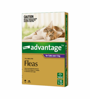 Advantage™ Fleas for Cats Over 4kg, 6 Pack