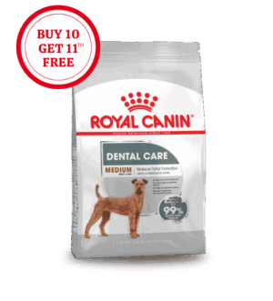 Starter-Mini-1.png Royal Canin Medium Dental Care